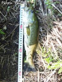 �֥�å��Х�