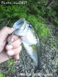 �֥�å��Х�