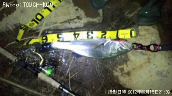 �����Х�