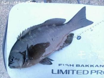 ¸ýÂÀ¥á¥¸¥Ê