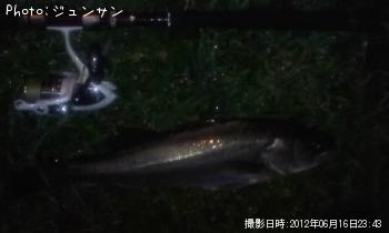 �����Х�