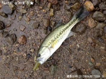 �֥�å��Х�