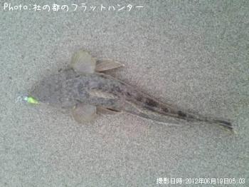 �ޥ���