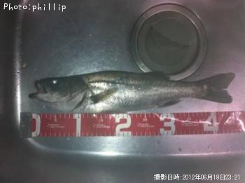 �����Х�