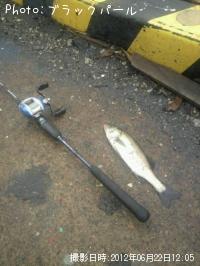 �����Х�