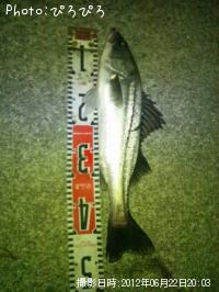 �����Х�