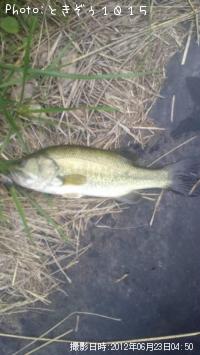 �֥�å��Х�