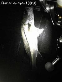 �����Х�