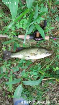 ¥Ö¥é¥Ã¥¯¥Ð¥¹