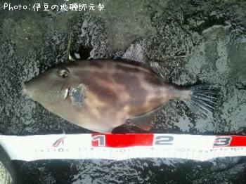 ���ޥť�ϥ�