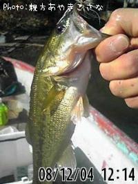 �֥�å��Х�