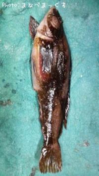 �����ʥ�