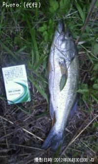 ¥Ö¥é¥Ã¥¯¥Ð¥¹