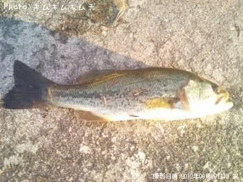 �֥�å��Х�