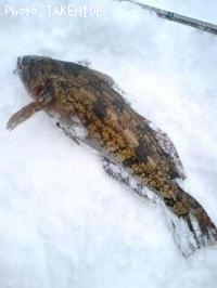 �����ʥ�