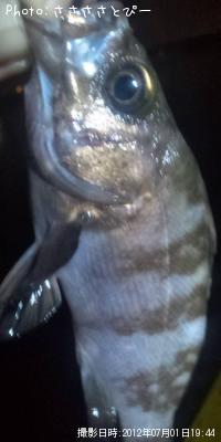 ¥¯¥ê¥¢¥á¥Ð¥ë