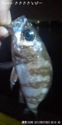 ¥¯¥ê¥¢¥á¥Ð¥ë