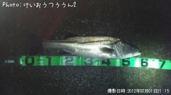 �����Х�