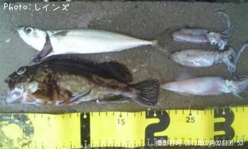 ¥«¥µ¥´¡õ¥¤¥«¡õ¥¿¥±¥Î¥³¡õ¥¢¥¤¥Ê¥á¡õ¥µ¥Ð