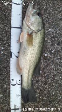 ¥Ö¥é¥Ã¥¯¥Ð¥¹