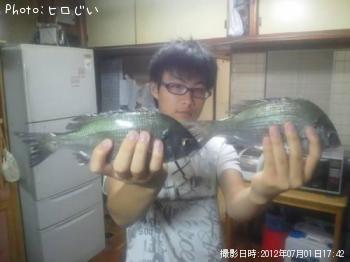 ¥Á¥Ì¡Ê¥á¥¤¥¿¡Ë