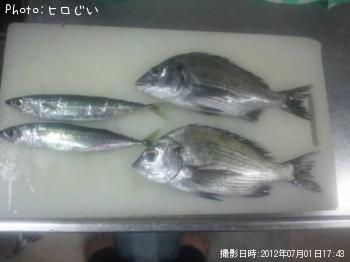 ¥Á¥Ì¡Ê¥á¥¤¥¿¡Ë