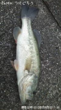 �֥�å��Х�