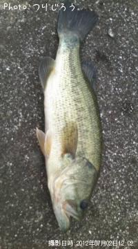 �֥�å��Х�