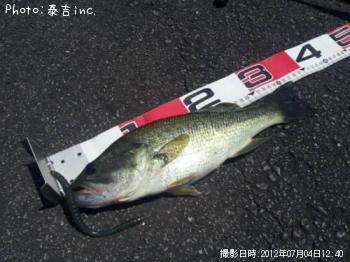 �֥�å��Х�