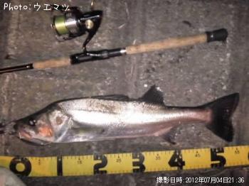 �����Х�