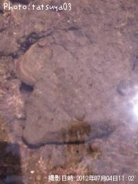 �ҥ�ᡩ���쥤��