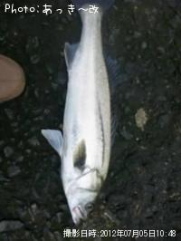 �����Х�