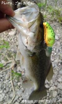 ¥Ö¥é¥Ã¥¯¥Ð¥¹