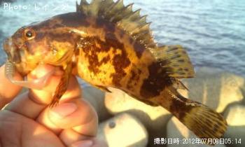 �����Υ���Х�