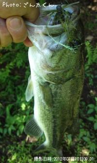 �֥�å��Х�