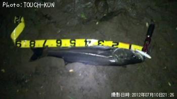 �����Х�