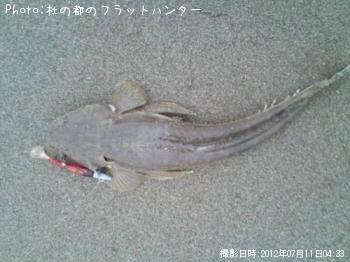 �ޥ���