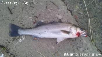 �����Х�