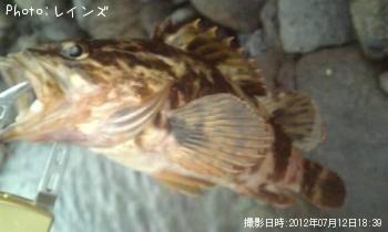 ¥¿¥±¥Î¥³¥á¥Ð¥ë