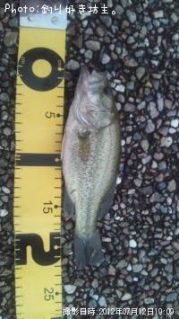 ¥Ö¥é¥Ã¥¯¥Ð¥¹