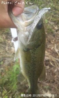 ¥Ö¥é¥Ã¥¯¥Ð¥¹