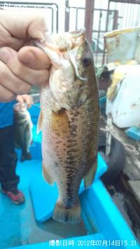 ¥Ö¥é¥Ã¥¯¥Ð¥¹