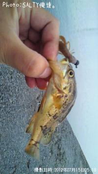 ¥¿¥±¥Î¥³¥á¥Ð¥ë