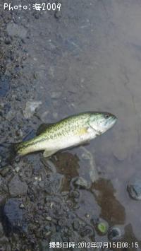 �֥�å��Х�