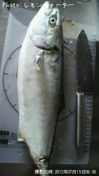 ���ʤ��ȥ參��