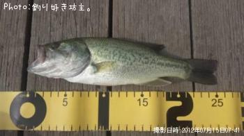 ¥Ö¥é¥Ã¥¯¥Ð¥¹