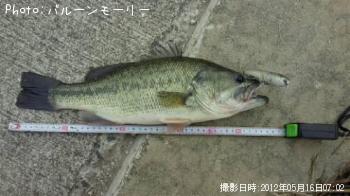 �֥�å��Х�