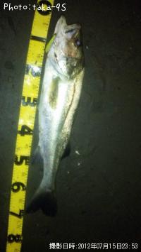 �����Х�