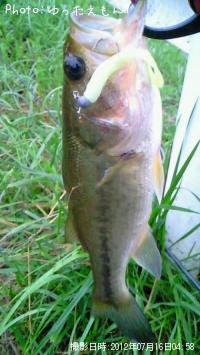 �֥�å��Х�