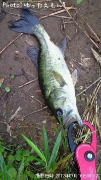 ¥Ö¥é¥Ã¥¯¥Ð¥¹